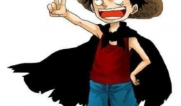 海贼王动漫,梦想与冒险的海洋传奇